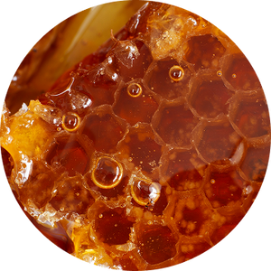 Cire d'Abeille